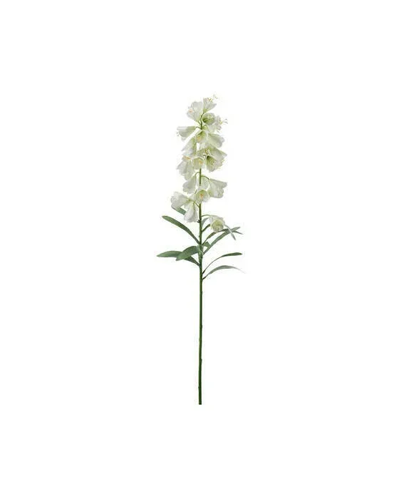 Frittilaria snitblomst hvid