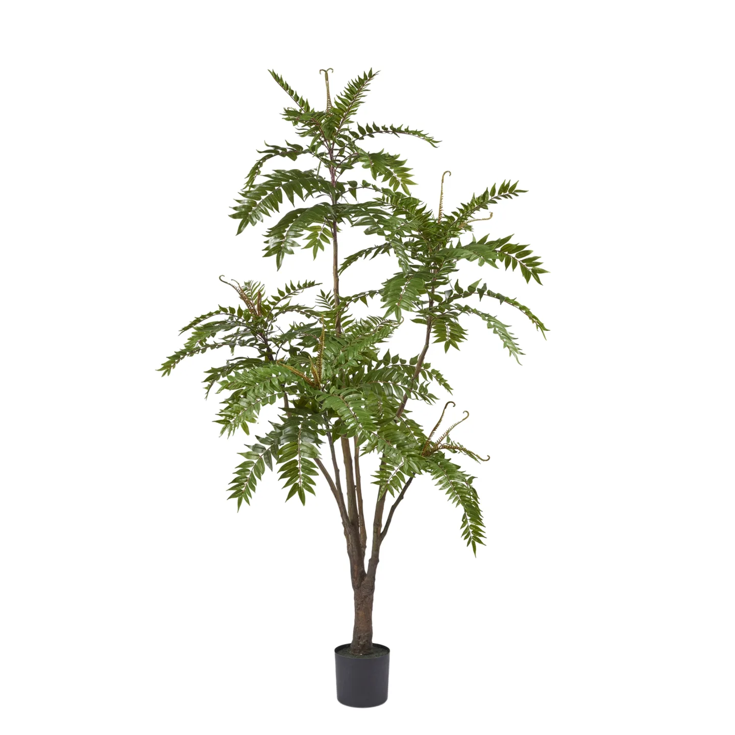 Edg Kunstpflanze Götterbaum H: 220 cm | Schubiger Möbel