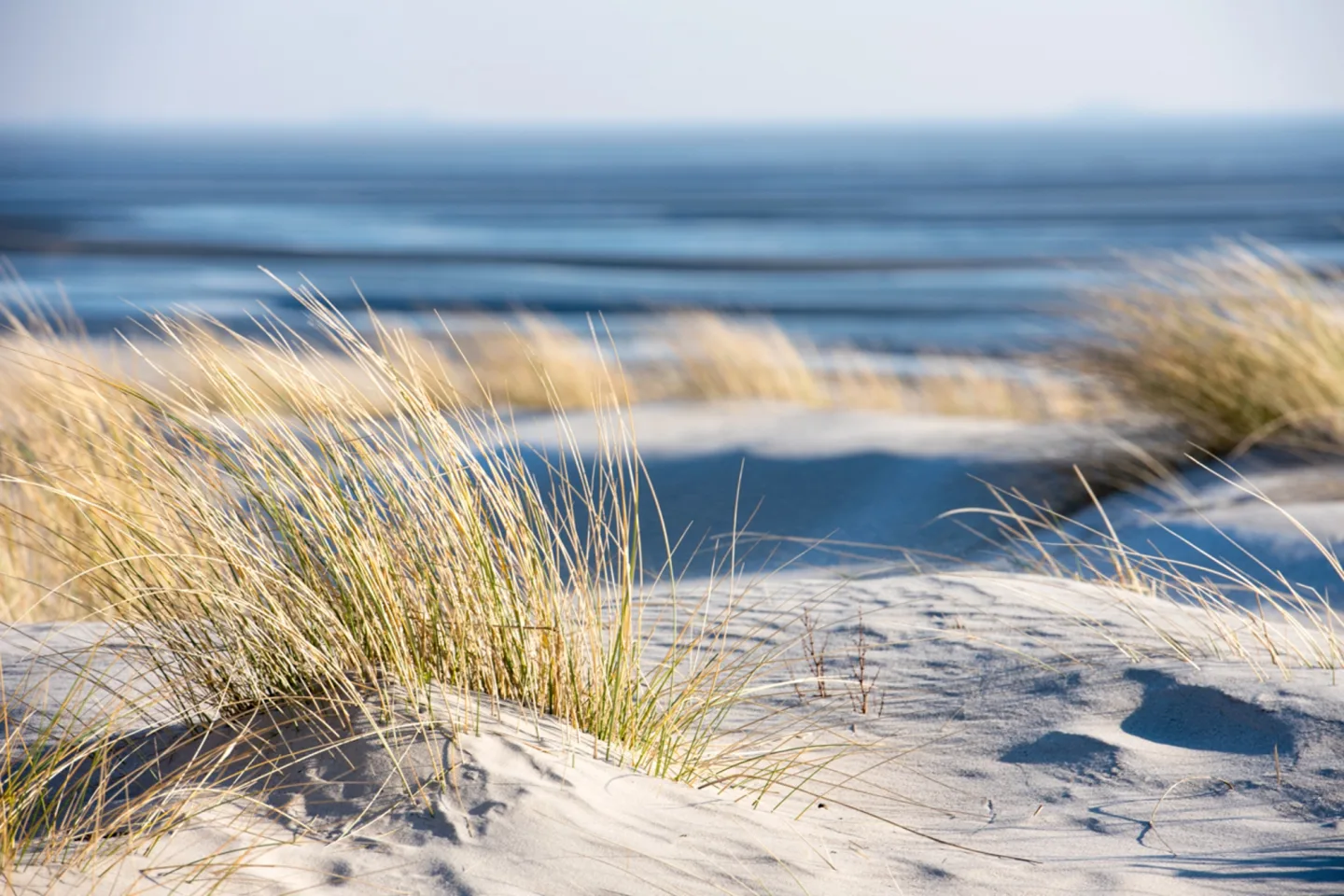 image LAND Canvas Time Out on The Beach | Schubiger Möbel