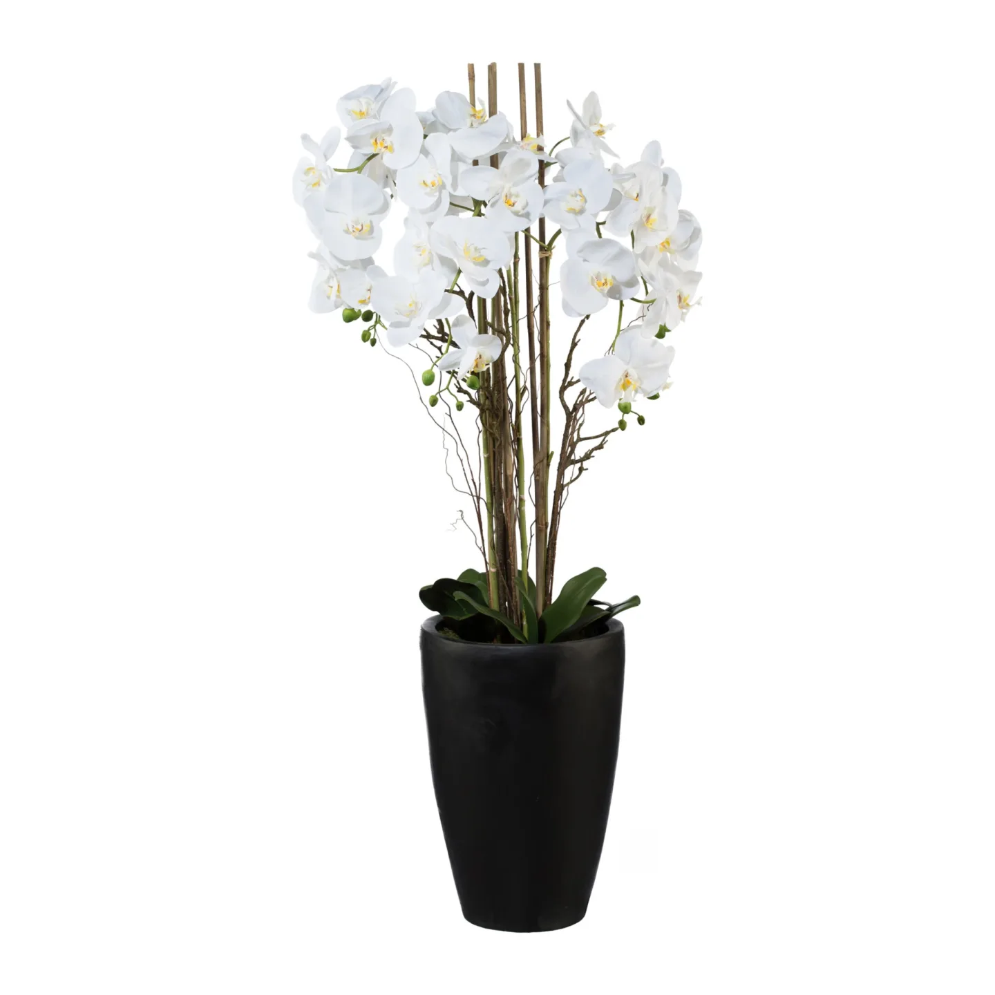 Gasper Orchideenpflanze weiss Vase Dunkelbraun | Schubiger Möbel