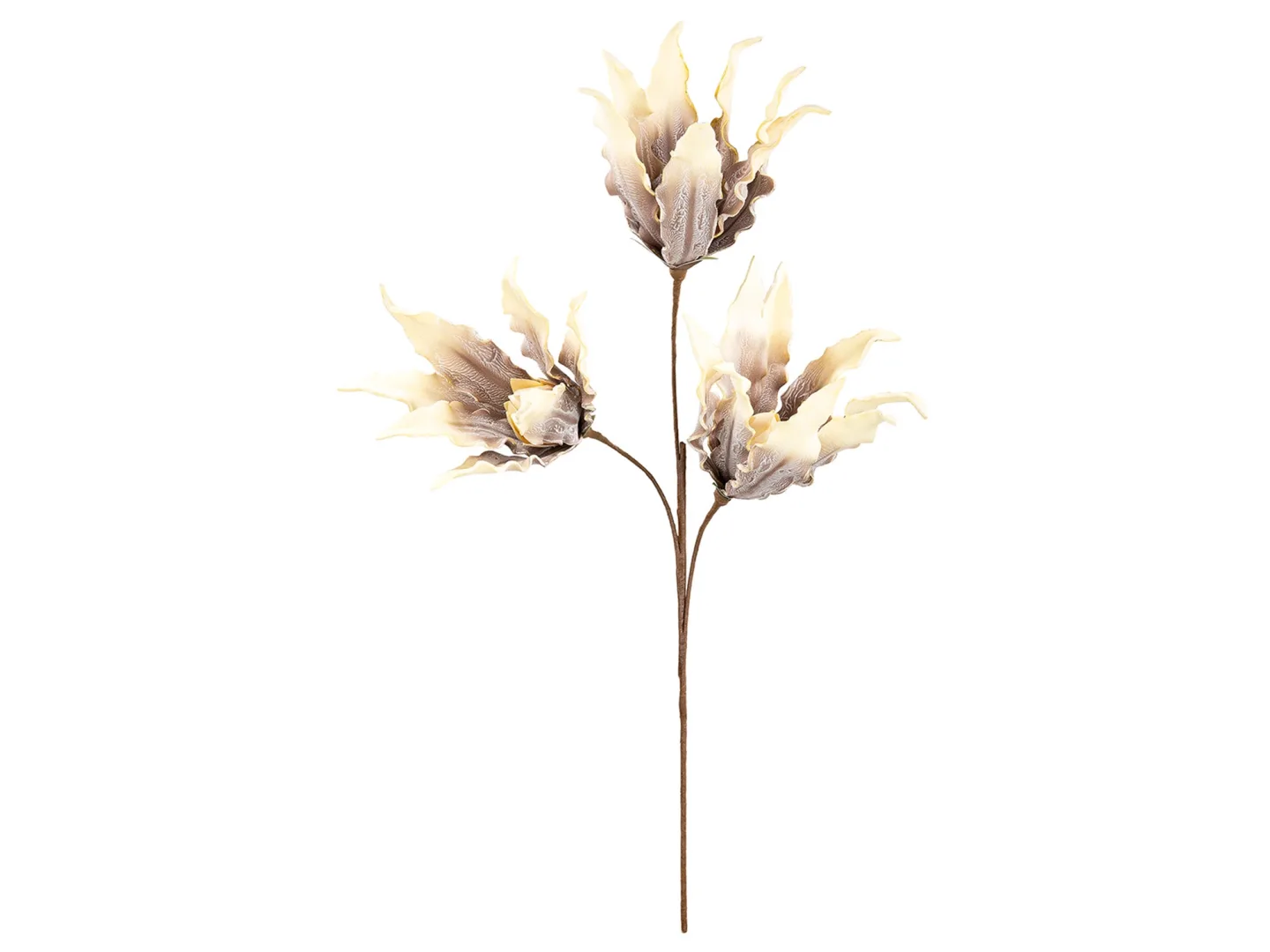 Gilde Kunstblumen Blüte, Braun-Creme H: 93 cm | Schubiger Möbel