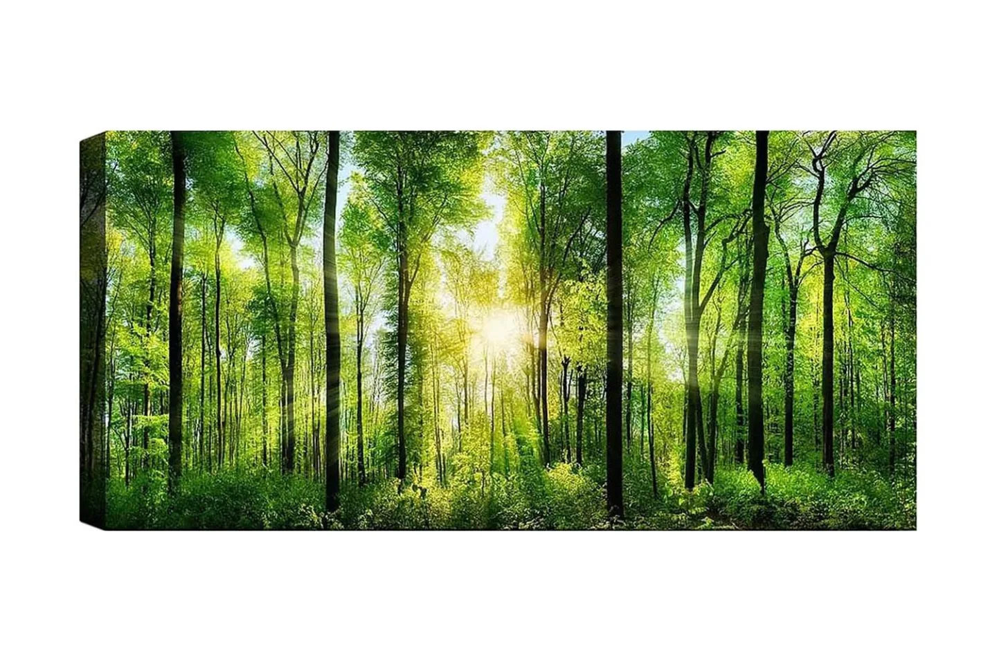 Canvastavla YTY Landscape & Nature Flerfärgad - 120x50 cm