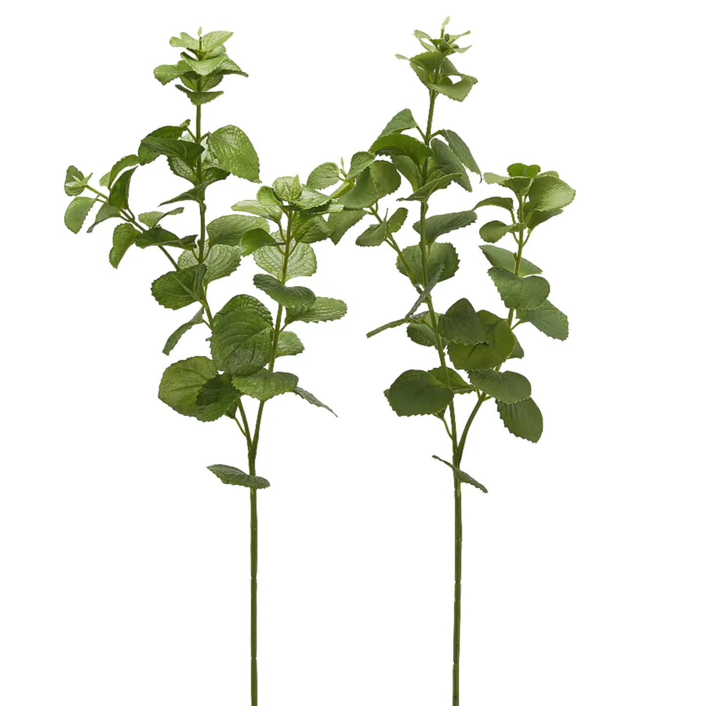 Edg Kunstblume Melisse H: 64 cm | Schubiger Möbel