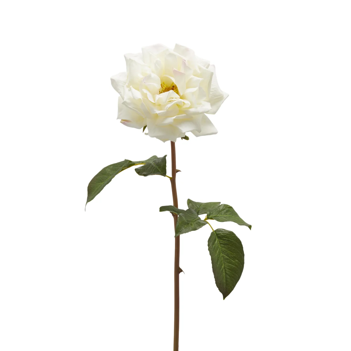 Edg Kunstblume Rose Weiss H: 50 cm | Schubiger Möbel