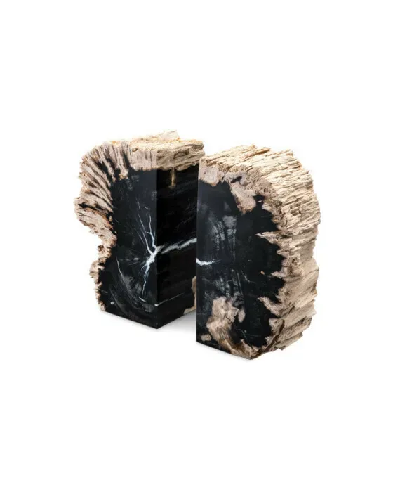Bookend Petrified Wood
