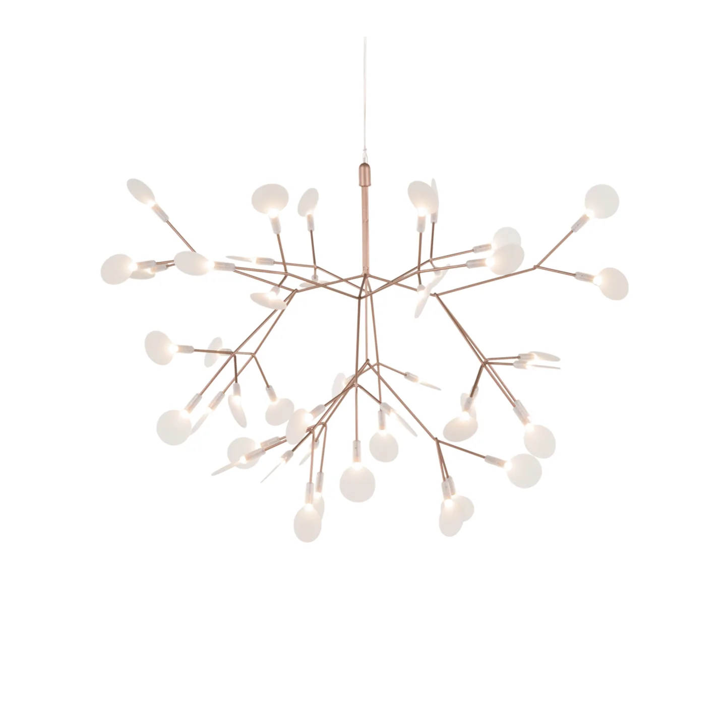 Moooi - Heracleum III, Suspended Small Copper - Takkronor - Bertjan Pot - Koppar
