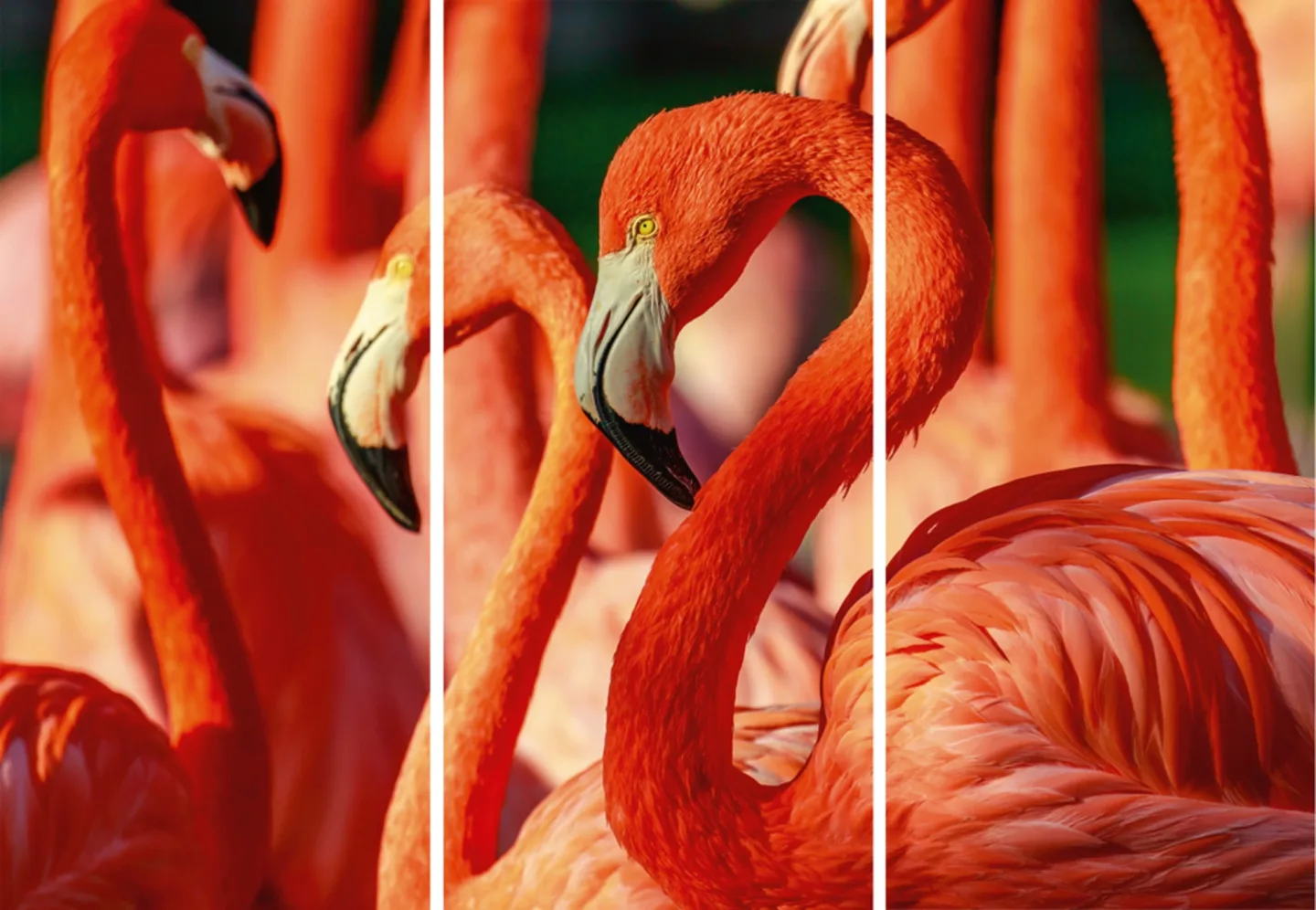 image LAND Alubild Flamingos | Schubiger Möbel