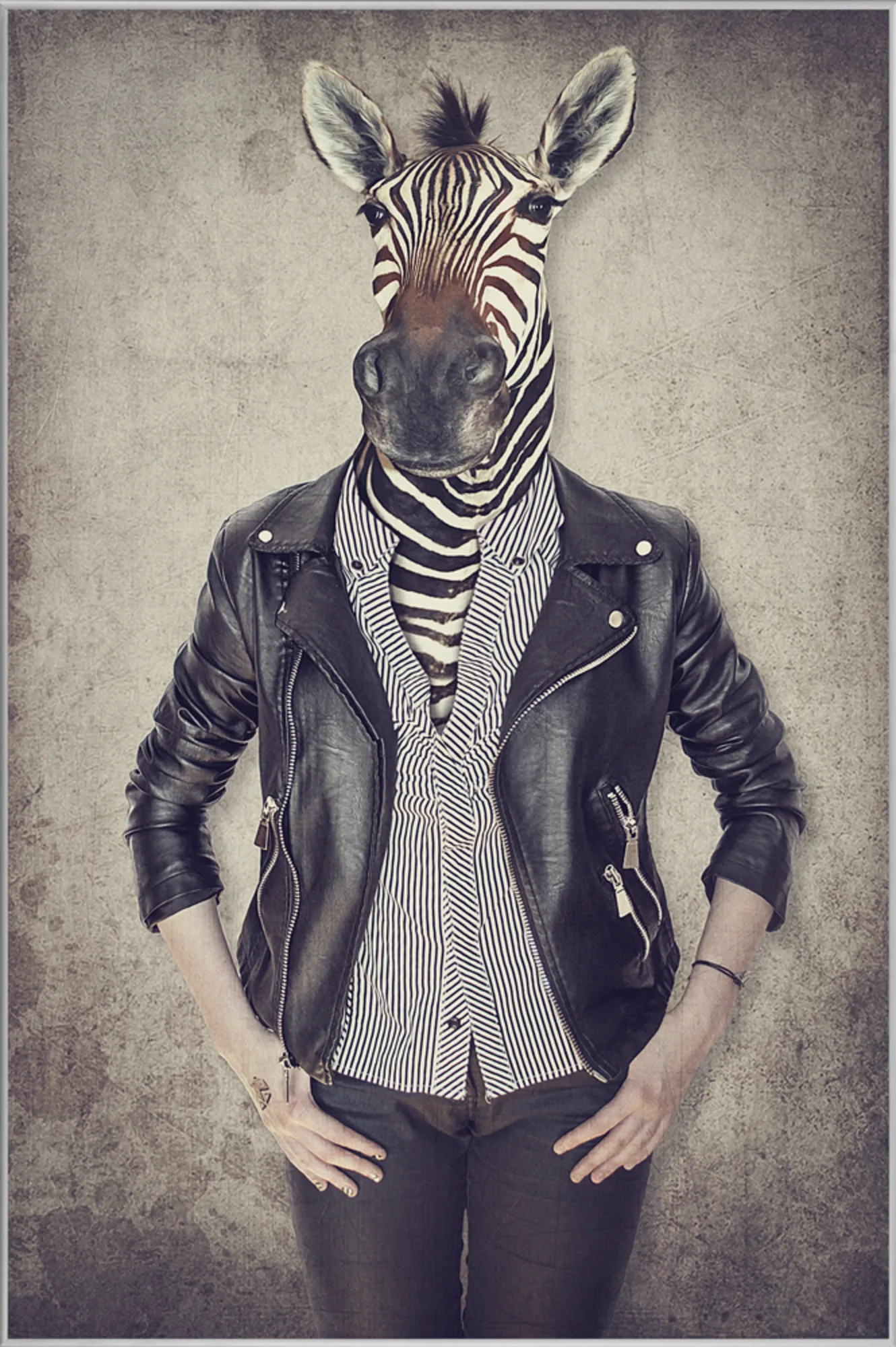 image LAND Bild mit Rahmen Zebra Gentleman | Schubiger Möbel