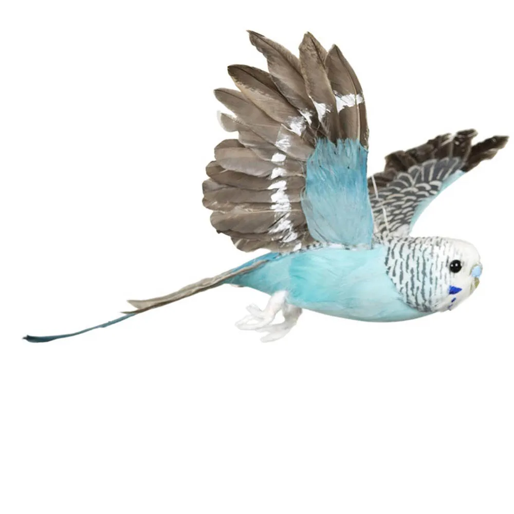 Undulat flygande Turkos