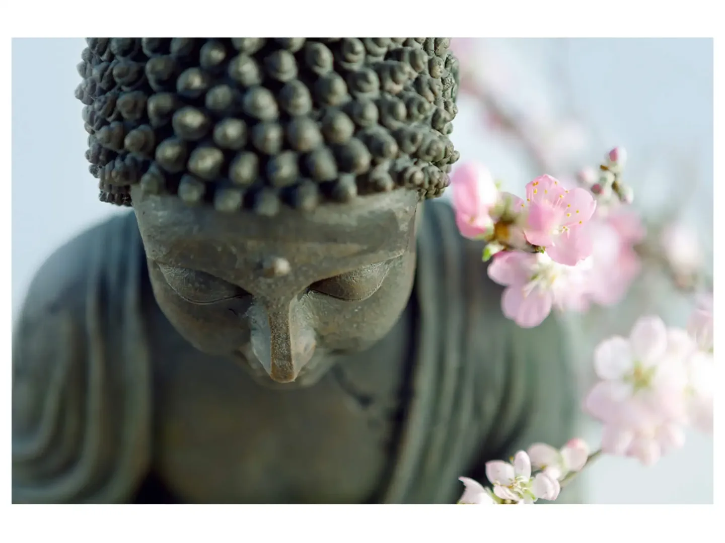 image LAND Digitaldruck auf Acrylglas Buddha | Schubiger Möbel