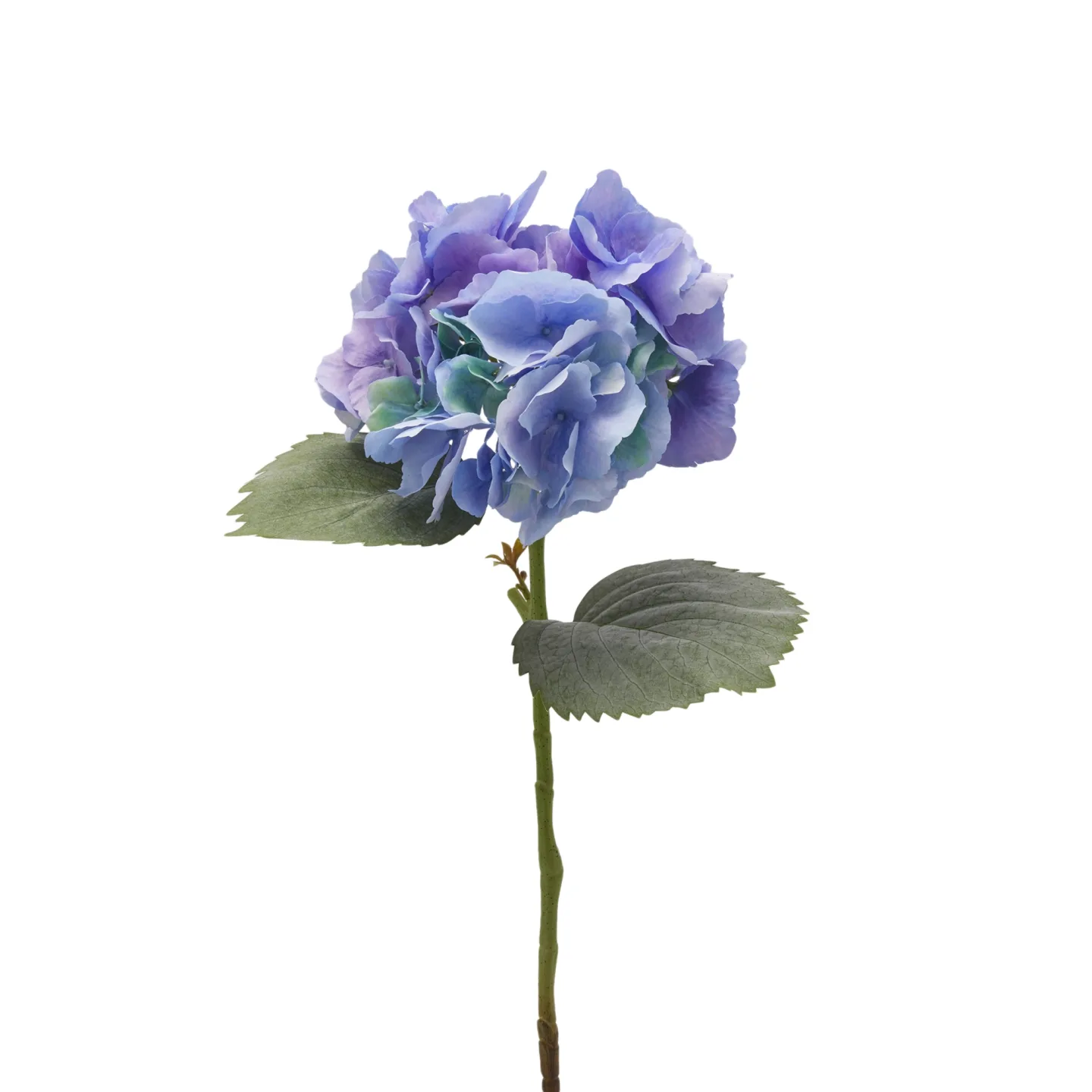 Edg Kunstblume Hortensie H: 66 cm | Schubiger Möbel