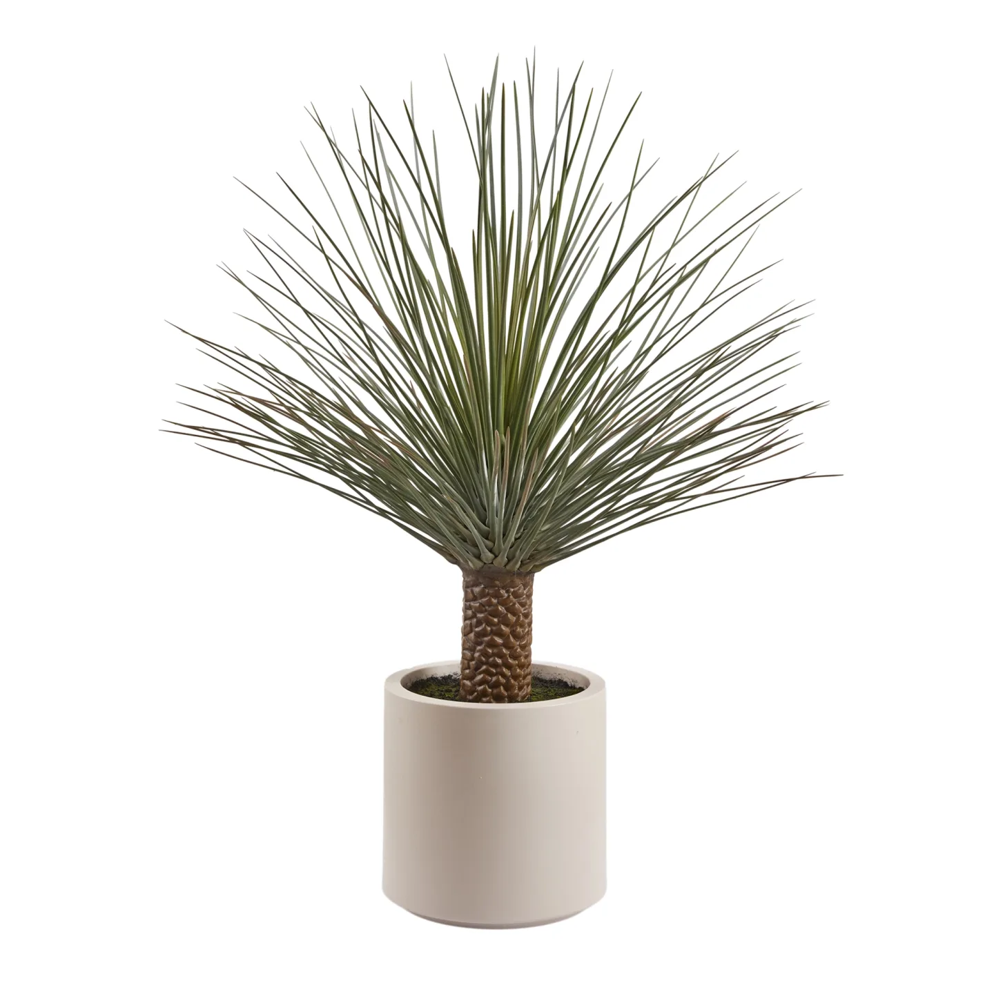 Edg Kunstpflanze Yucca H: 124 cm | Schubiger Möbel