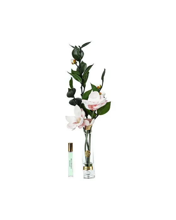 Magnolia d'Été gåvoset