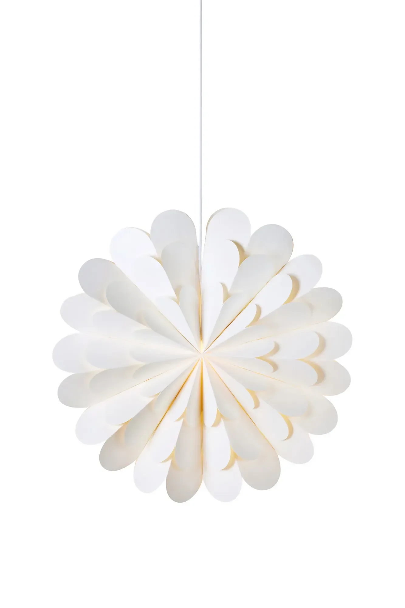 Maravilla Stern Weiß 60 cm