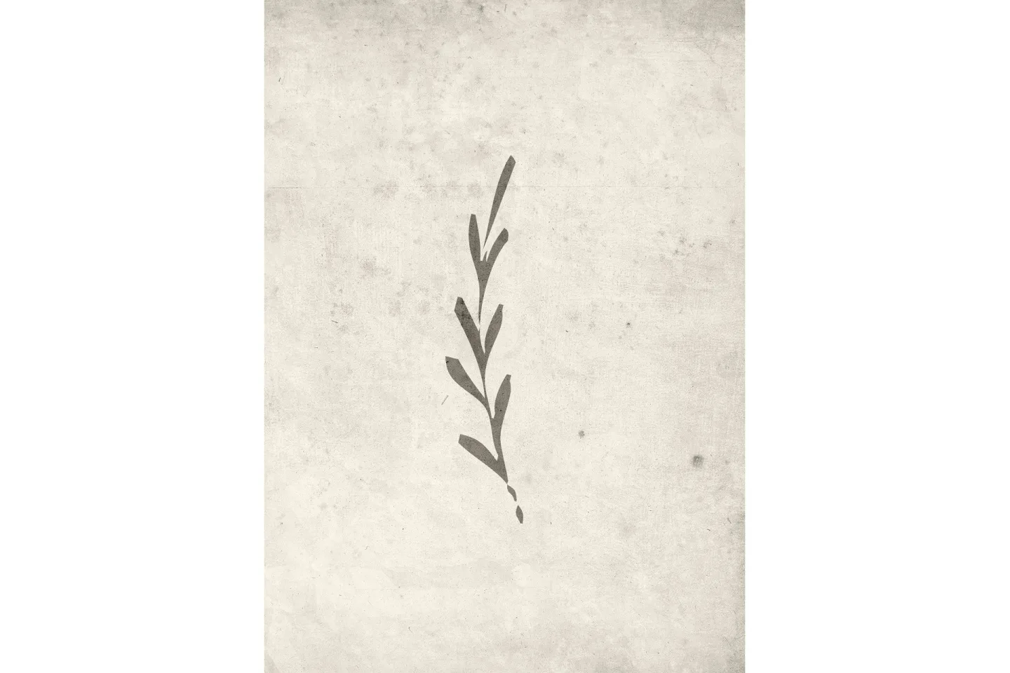 Poster Autumn leaf 50x70 cm - Beige