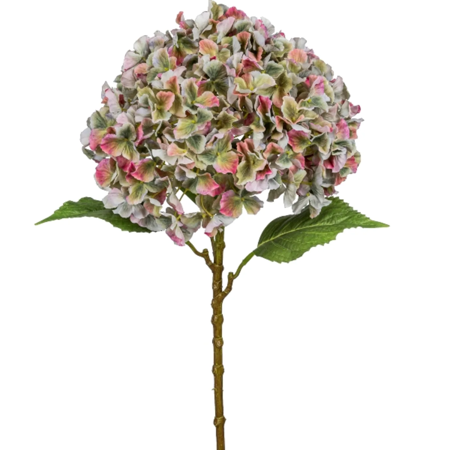 Gasper Kunstblume Hortensie Gigant, Bunt H: 73 cm | Schubiger Möbel