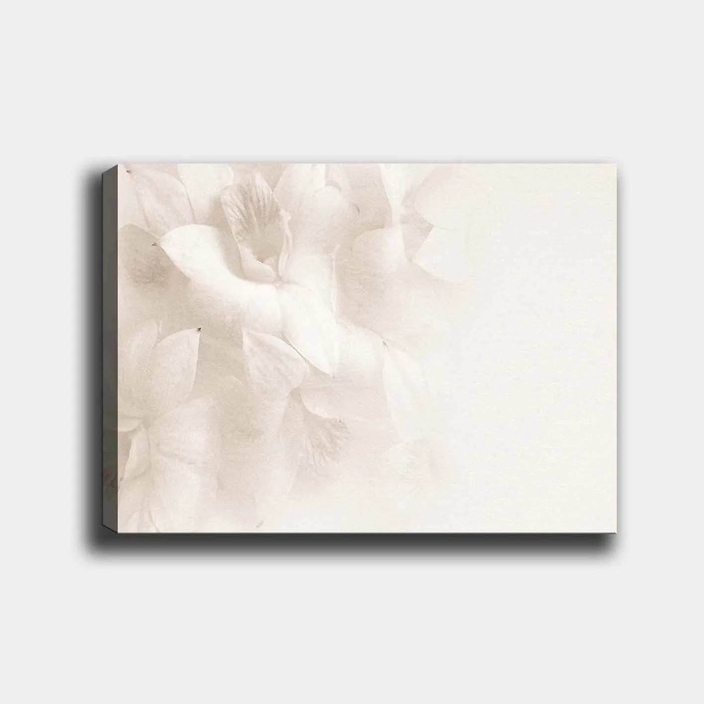 Canvastavla 70x100 cm - Mjuka blommor i subtila nyanser av vitt - Vit / Ljusbeige