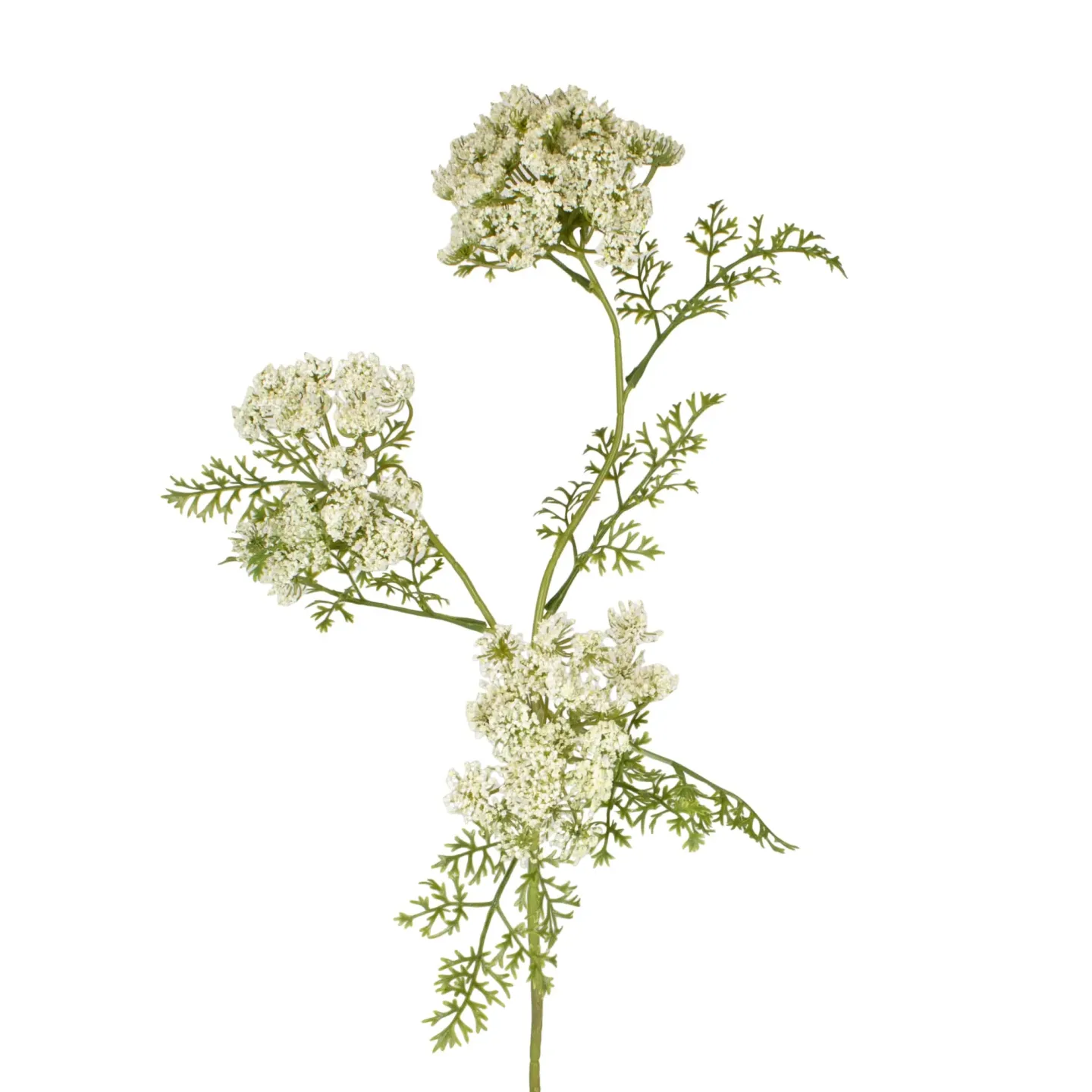 Decofinder Kunstblume Dillzweig Weiss H: 75 cm | Schubiger Möbel