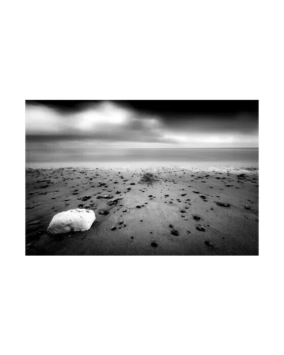 Shells