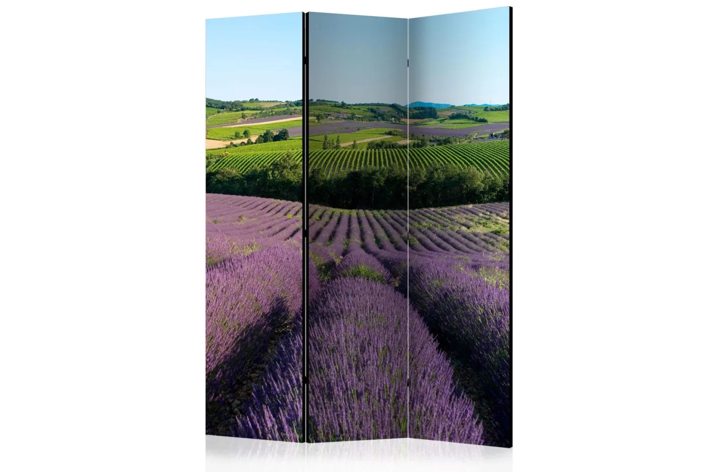 Kadira Rumsavdelare 135x172 cm -