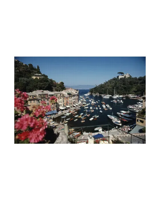 Harbour Area, Portofino