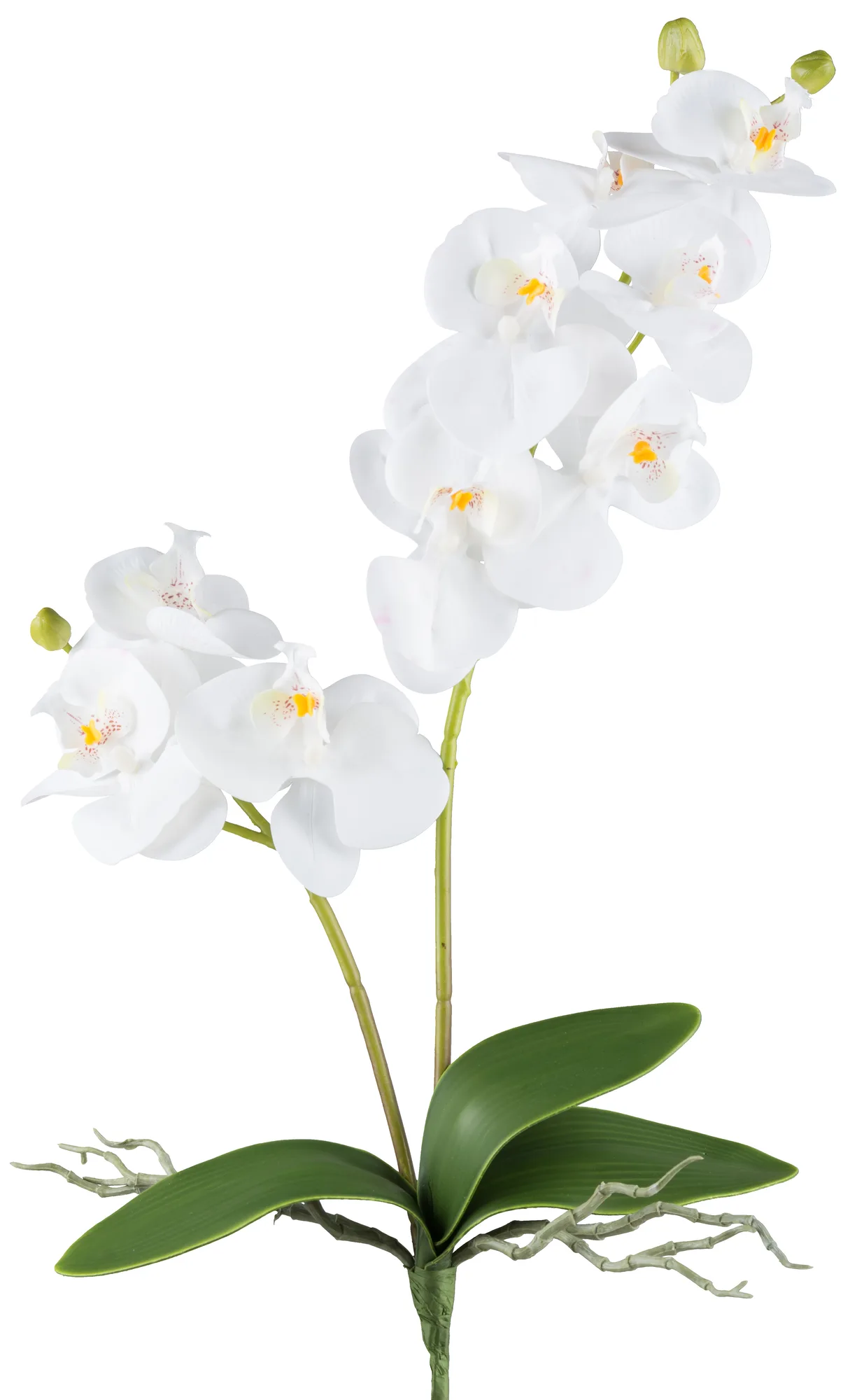 Gasper Kunstblume Orchidee Weiss H: 57 cm | Schubiger Möbel