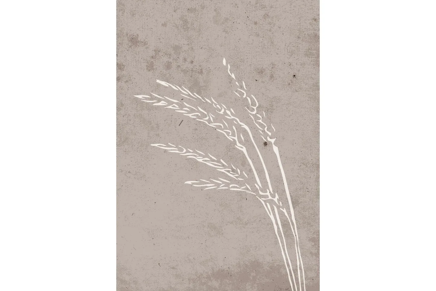 Poster Seeds 70x100 cm - Beige