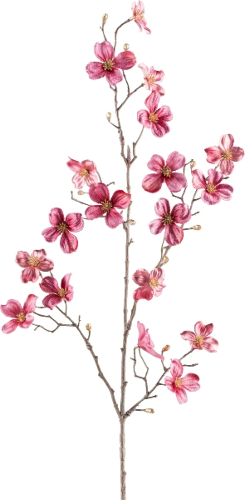 Gasper Kunstblumen Cornus, Dunkelrosa | Schubiger Möbel