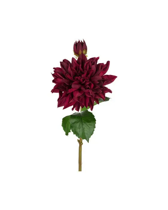 Dahlia snittblomma burgundy