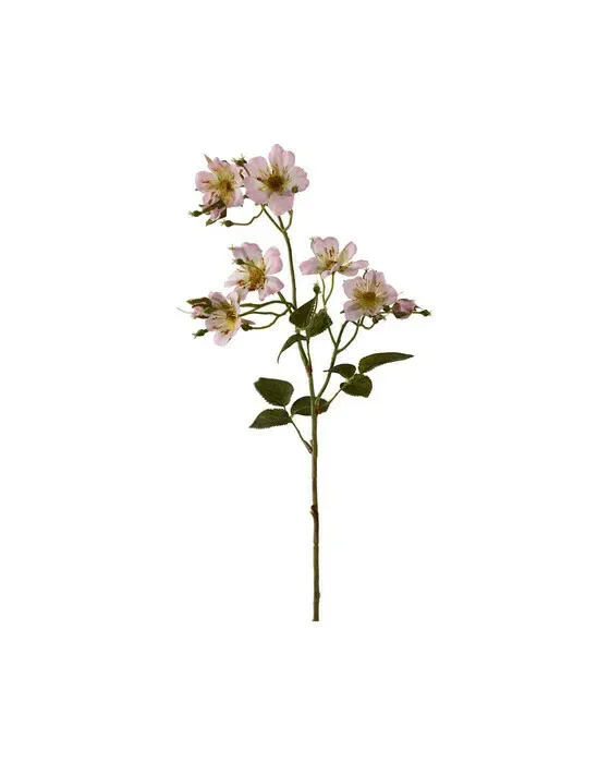 Japansk klatrerose afskårne blomster rosa