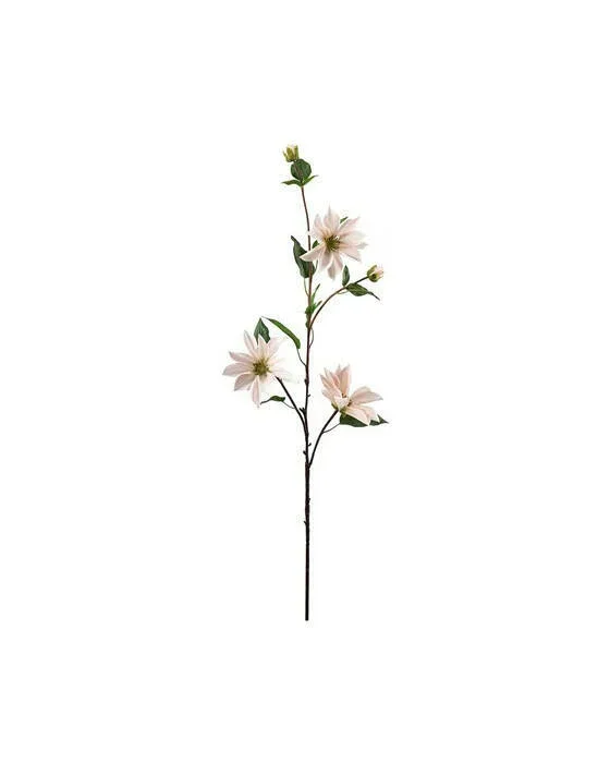 Klematis snittblomma ljusrosa